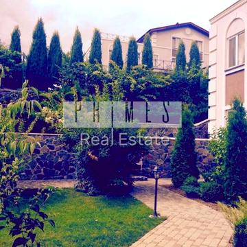 Центральна