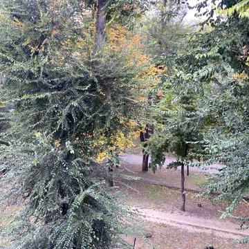 СРОЧНО!!!Цена СНИЖЕНА!!!Сдам квартиру!1-комнатнаяЛучший район!!!