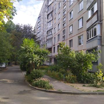 Деревянка вул., 3б