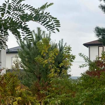 Щасливий пров.