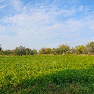 Майдан-чапельський, Вінницький, Вінницька область 5000.0 USD