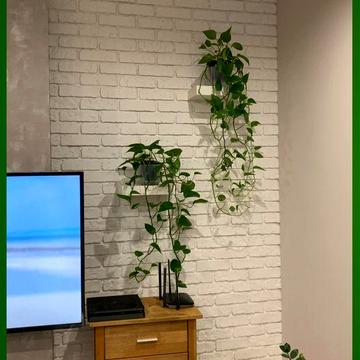 ЖК Плеханівський ЖК Плеханівський