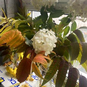 Без комісіі Драгоманова 10 « Телескоп» генератор ЖК “Teleskop”