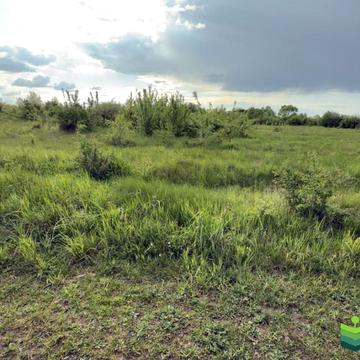 Березівка, Івано-Франківський, Івано-Франківська область 10000.0 USD