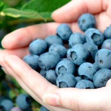 Бабинці, Бучанський, Київська область 200000.0 USD