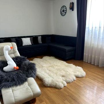 Здам в Оренду будинок м. Новоселиця