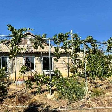 Будинок з фруктовим садом