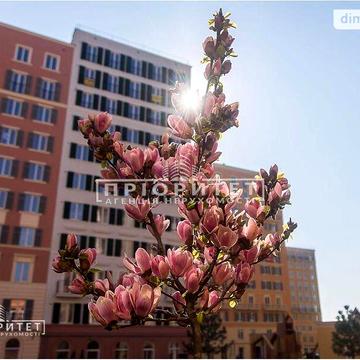 Продаж 1к Квартира Інглезі (25-ї Чапаєвської дивізії) вулиця