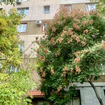 Двухкомнатная  квартира 50м на Молдаванке