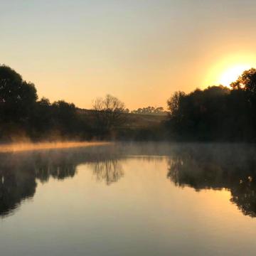 Центральна