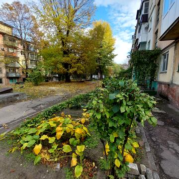 Вільна вул., 3