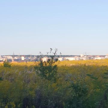 Агрономічне, Вінницький, Вінницька область 16500.0 USD