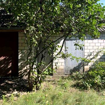 Будинок, 50 соток, доглянутий сад