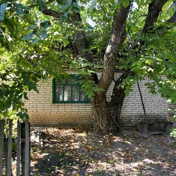Будинок, 50 соток, доглянутий сад
