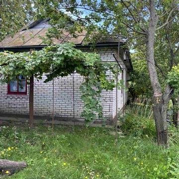 Будинок, 50 соток, доглянутий сад