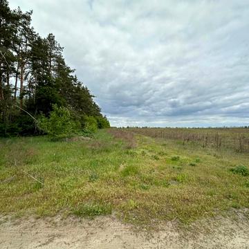 Гостомель, Бучанський, Київська область 15000.0 USD