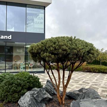 Берковецька вул., 4-Д