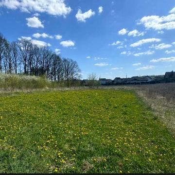 Василя Стуса