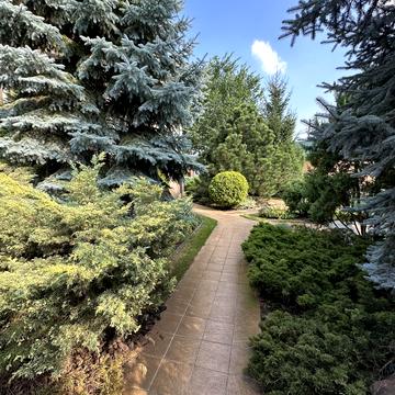 Єлизавети Чавдар вул.