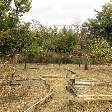 Виноградна