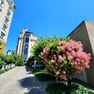 Просторная 3-комн квартира в доме Премиум 4 Моцарт ЖК Зеленый мыс ЖК Зеленый мыс