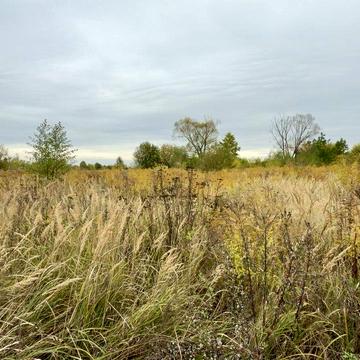 Хриплин, Івано-Франківський, Івано-Франківська область 3200.0 USD