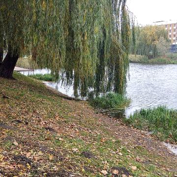 Продаж квартири Бородянка. Центр.