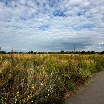 Микуличі, Бучанський, Київська область 13500.0 USD