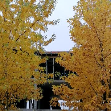 Поліська вул., 11