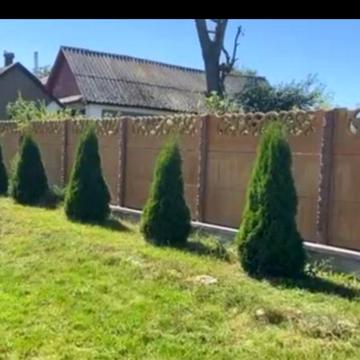 Продам  будинок в Писарівці