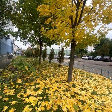 Позняки. Драгоманова/ Пчілки, 3к квартира для втілення мрій!