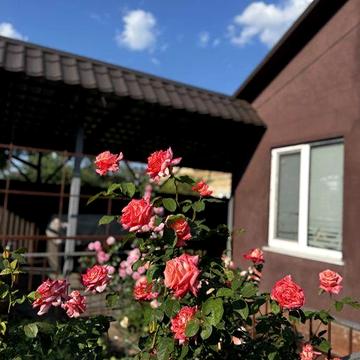 Здам в оренду дуплекс з автономним джерелом живлення і ділянкою5 соток