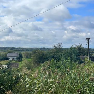 Володимира Великого вул., 56