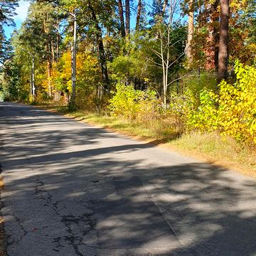 Бориса Лятошинського вул. (1 Травня)