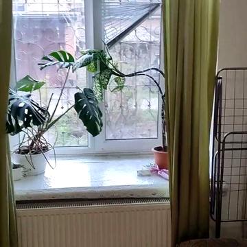 Довгострокова оренда 1к Квартира Стрілецька вулиця