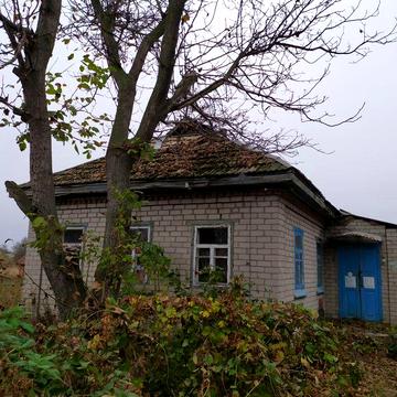 Продажа дома Белецковка (17 соток)