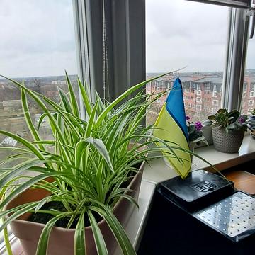 Вереснева вул., 22