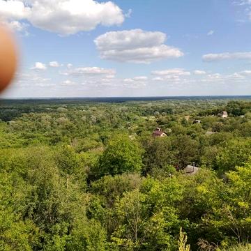 Продам дачу в полтавских Карпатах.