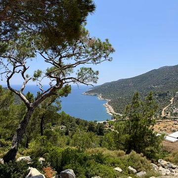 Оренда квартири в Анталії, Туреччина. Зимуй біля моря)0