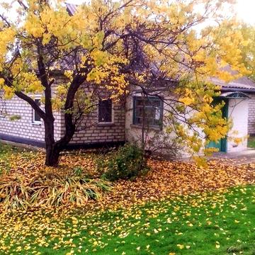 Терміново продається будинок біля соснового ліса, с, Трушкивци