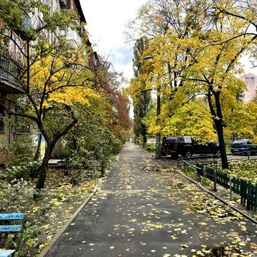 Оренда. Однокімнатна квартира. Каунаська 4/2