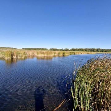 Продаж будинку. Село Новотаромське. ( Валове ). Напрямок Кудашівки.
