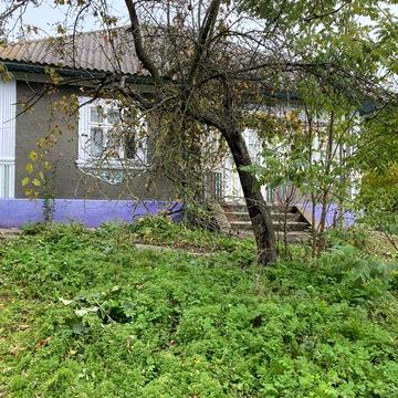 Продається будинок  с. Пашківці