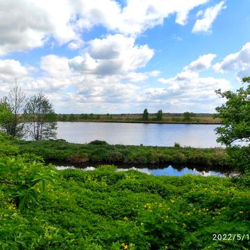 Будинок Степань- Погулянка