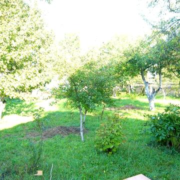 Небелиця (Київська обл.), Миру 71 - будинок та 20 соток