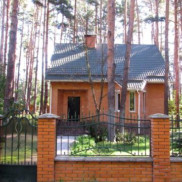 Здаю в оренду будинок в лісі