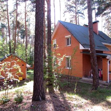 Здаю в оренду будинок в лісі