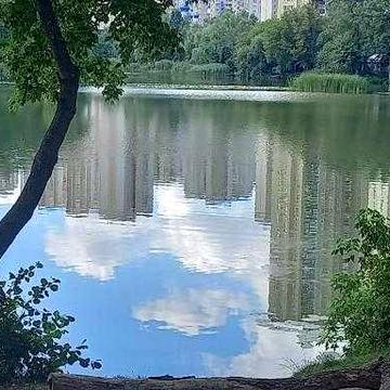 В оренду 2-х.квартира Березняки Миколайчука ст.м.Лівобережна