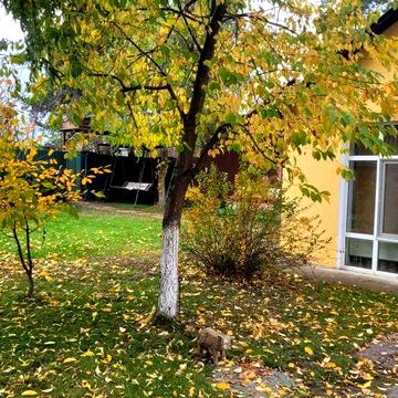 довгострокова оренда будинку в с.Романків.