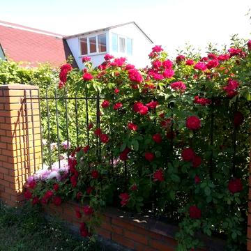 Аренда будинку в Борисполі